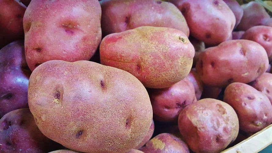 红色食物蔬菜大小红色土豆农产品蔬菜食材背景图片